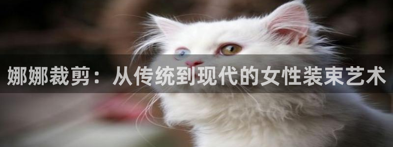 天辰娱乐游戏平台怎么样