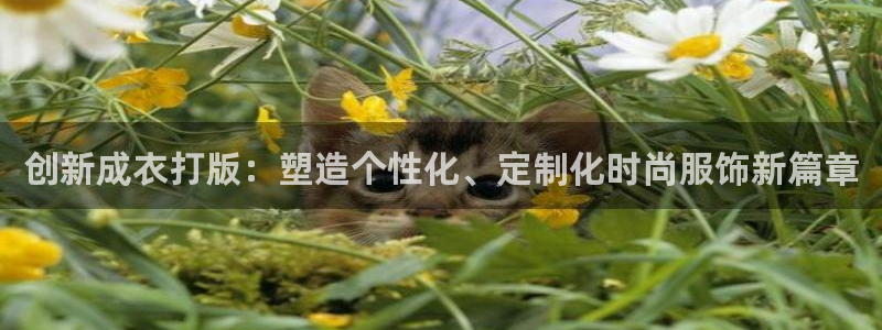 天辰娱乐官网平台入口